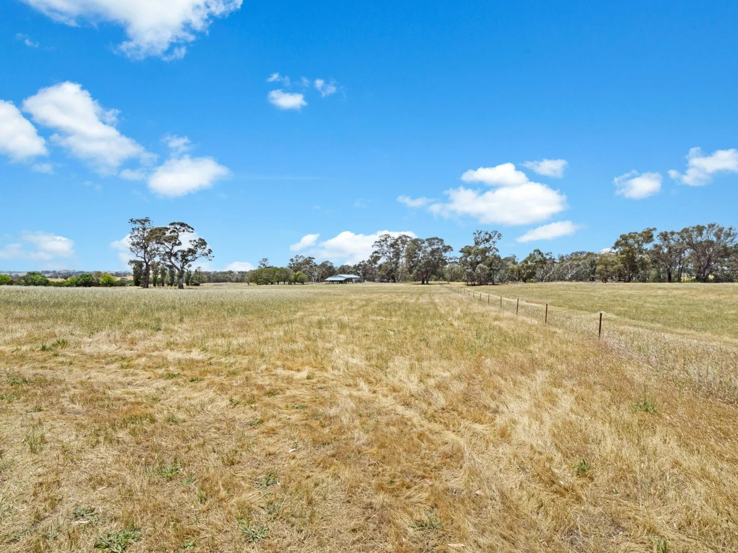 Additional image 40 of 20 Quamby SS Road, Young NSW 2594