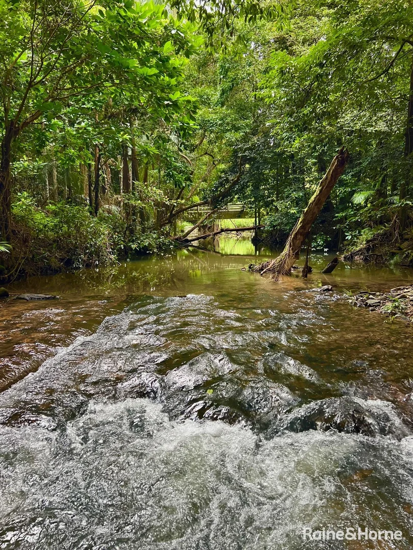 Additional image 20 of 217 Cassowary Road, Cassowary QLD 4873