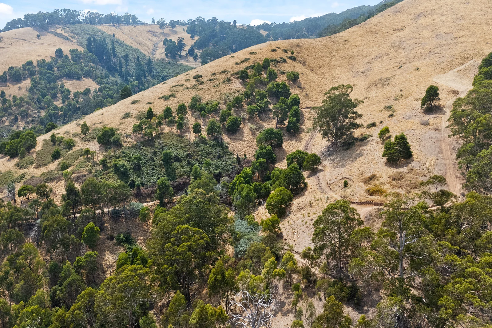 Additional image 4 of Morans Road, Jeeralang Junction VIC 3840