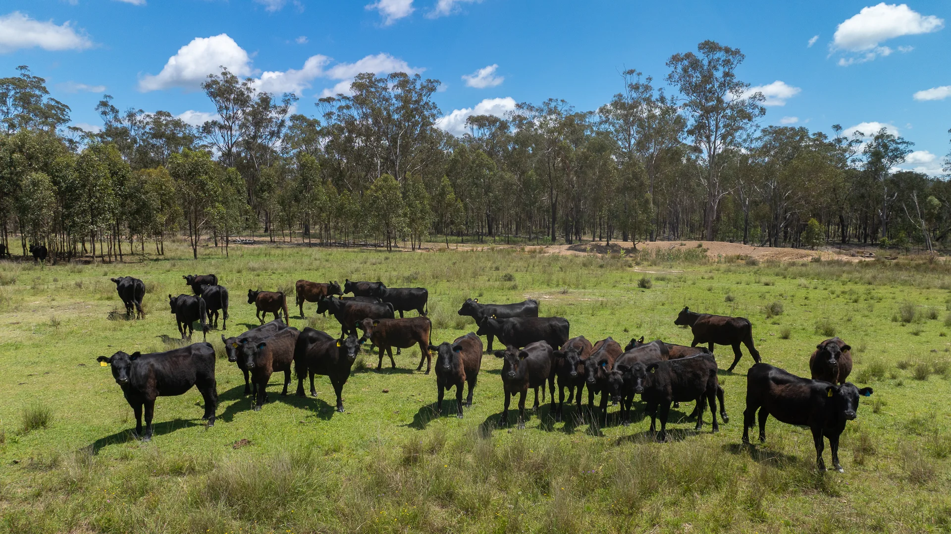 Additional image 3 of 'Hutton' 570 Hazeldene Road, Thanes Creek QLD 4370