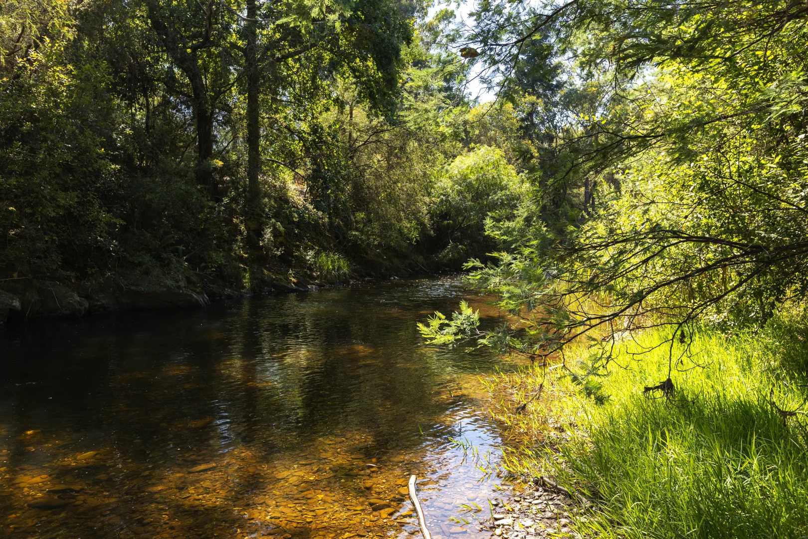 Additional image 21 of 7045 Great Alpine Road, Porepunkah VIC 3740