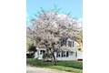 Additional image 2 of 4 Intervale Rd, Rutland, MA, 01543