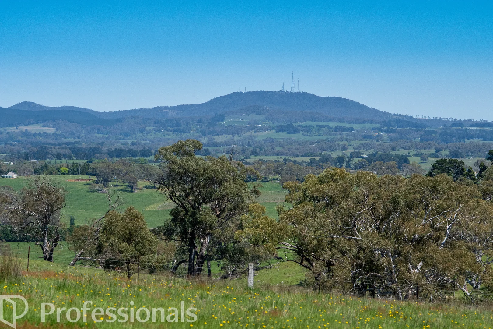 Additional image 42 of 225 Emu Swamp Road, Orange NSW 2800