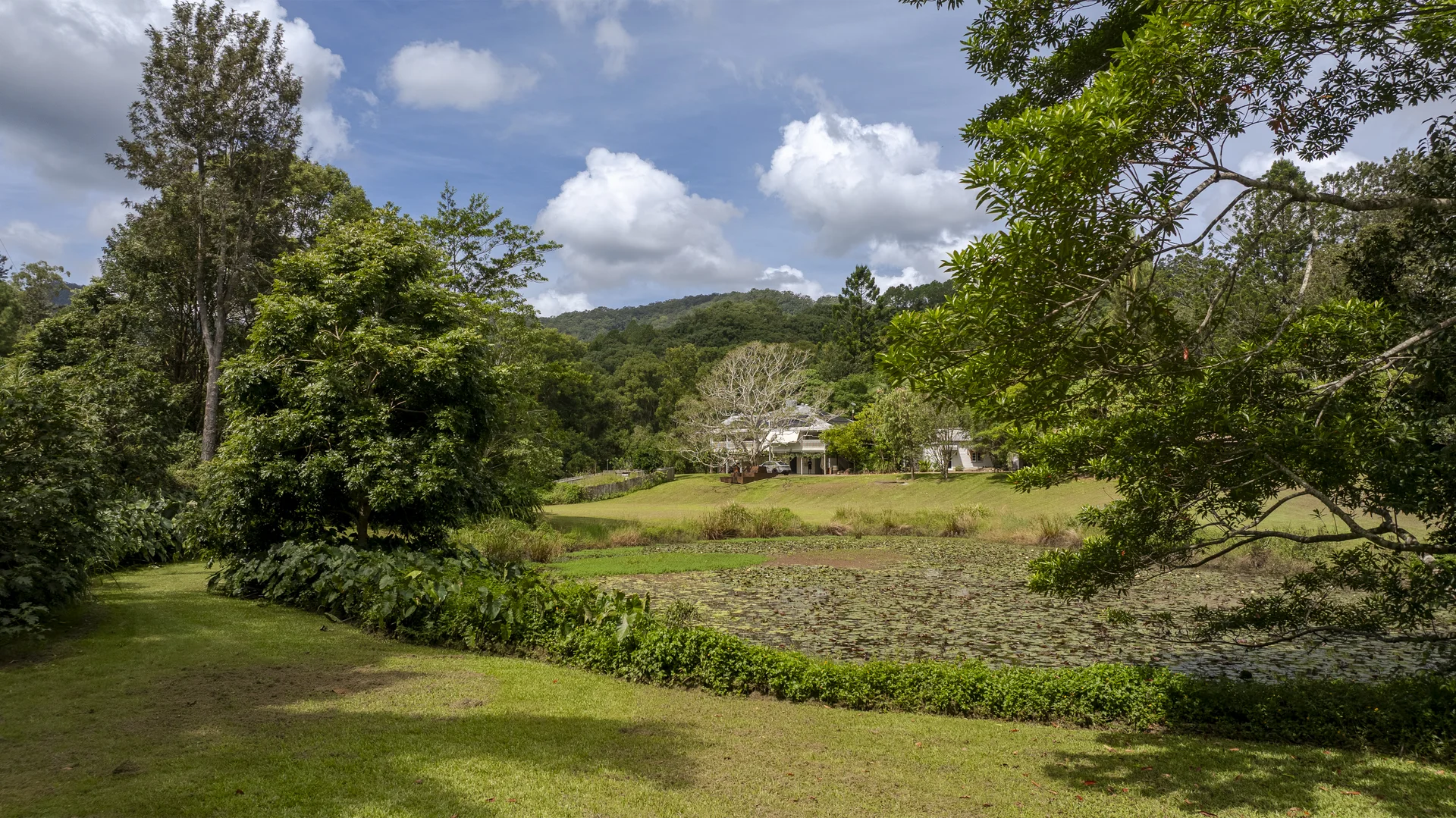 Additional image 5 of 64 Mount Warning Road, Mount Warning NSW 2484