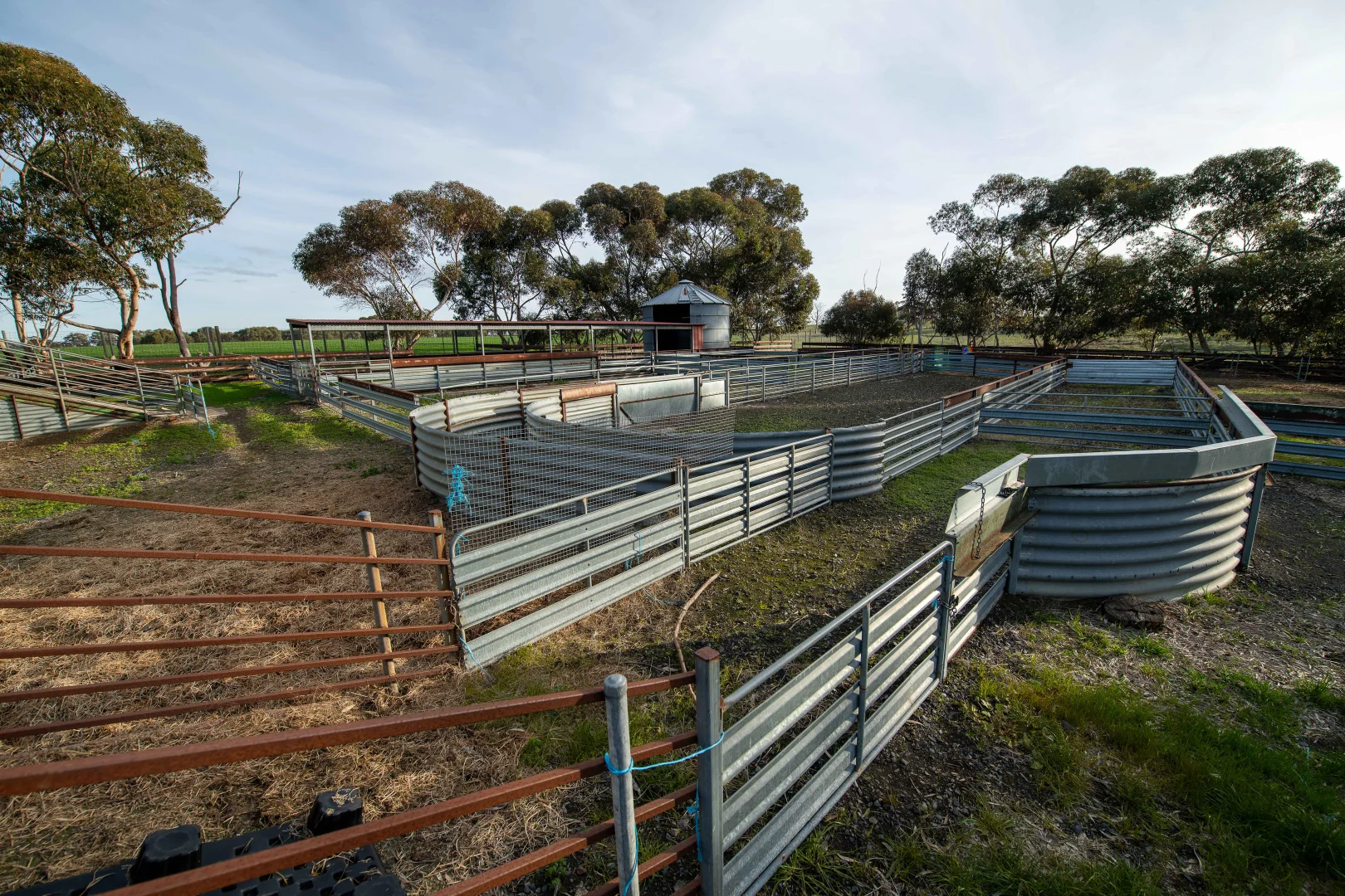 Additional image 8 of 1077 Horsham-Noradjuha Road, Lower Norton VIC 3401