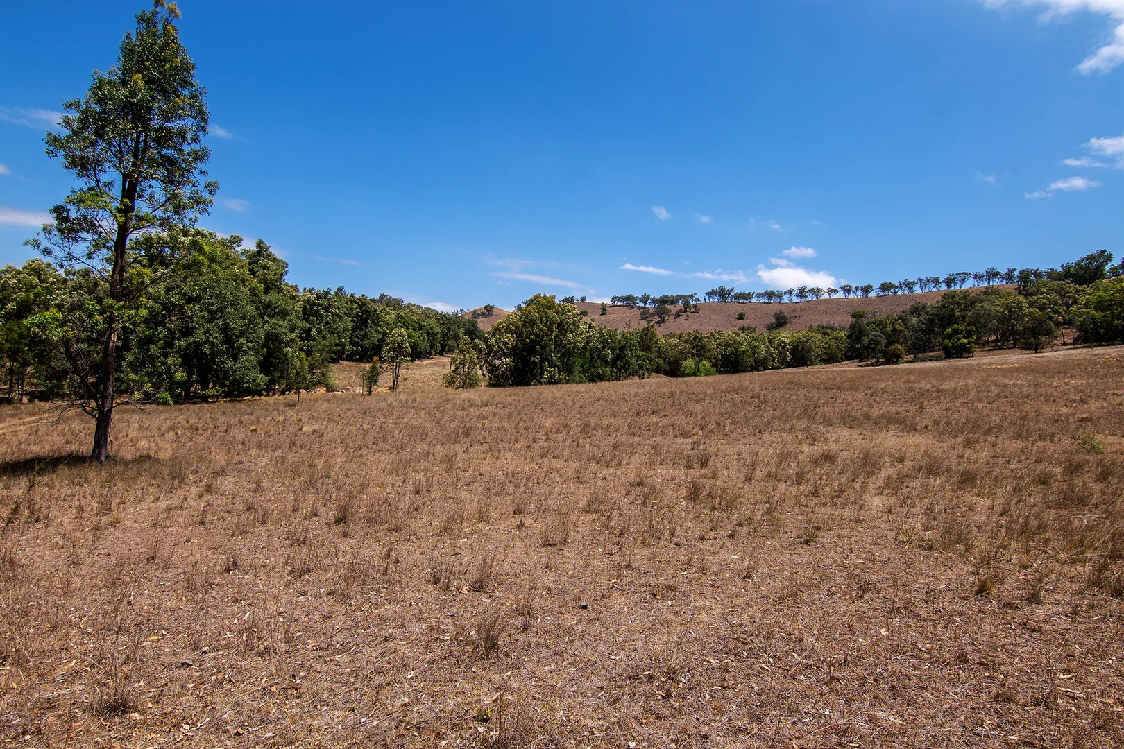 Additional image 5 of 856 Spring Flat Road, Spring Flat NSW 2850