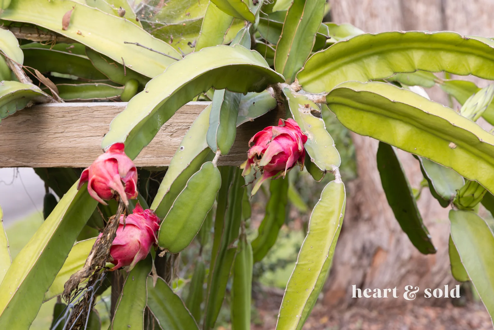 Additional image 29 of 122 Valdora Road, Valdora QLD 4561