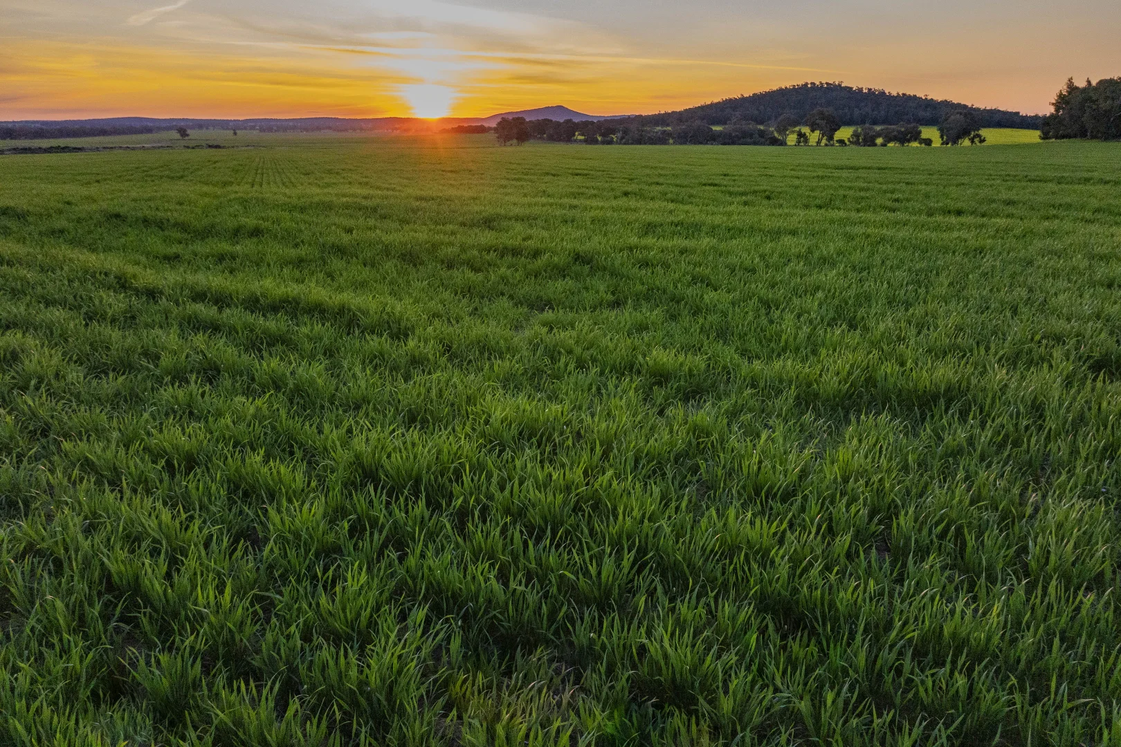 Additional image 37 of 1349 Trungley Hall Road, Temora NSW 2666