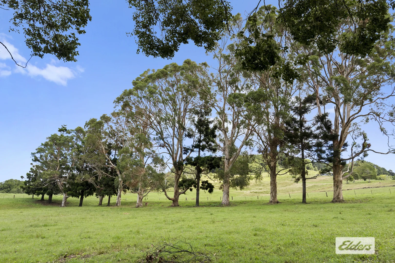 Additional image 23 of 889 Terranora Road, Bungalora NSW 2486