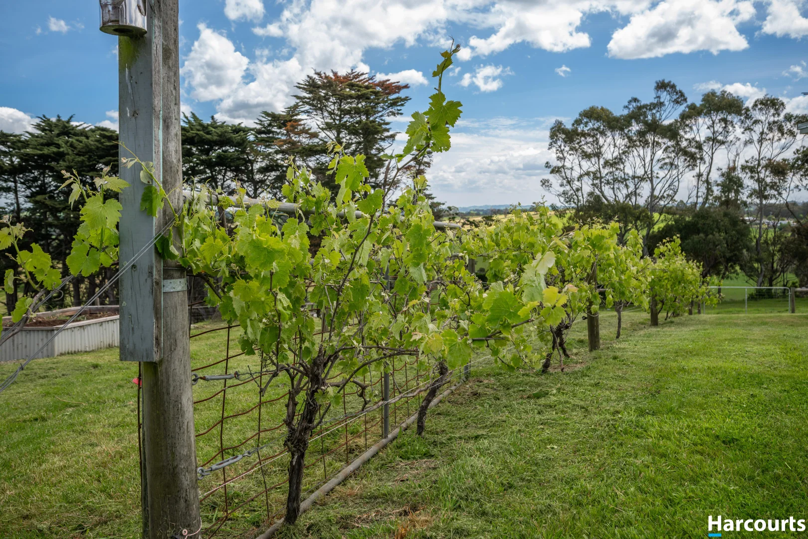 Additional image 26 of 228 Fullertons Road, Mirboo North VIC 3871