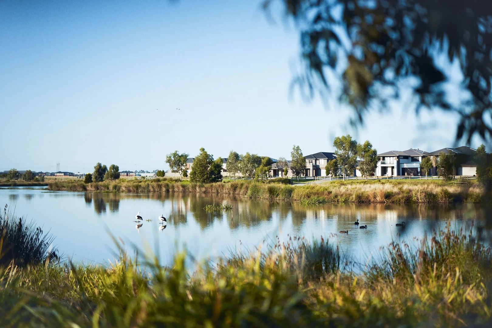 Additional image 3 of Lot 1110/1110 Buttercup Street, Berwick Waters, Clyde North VIC 3978