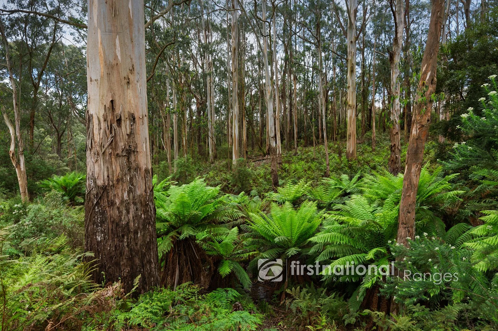 Additional image 13 of 171 Stewart Road, Emerald VIC 3782