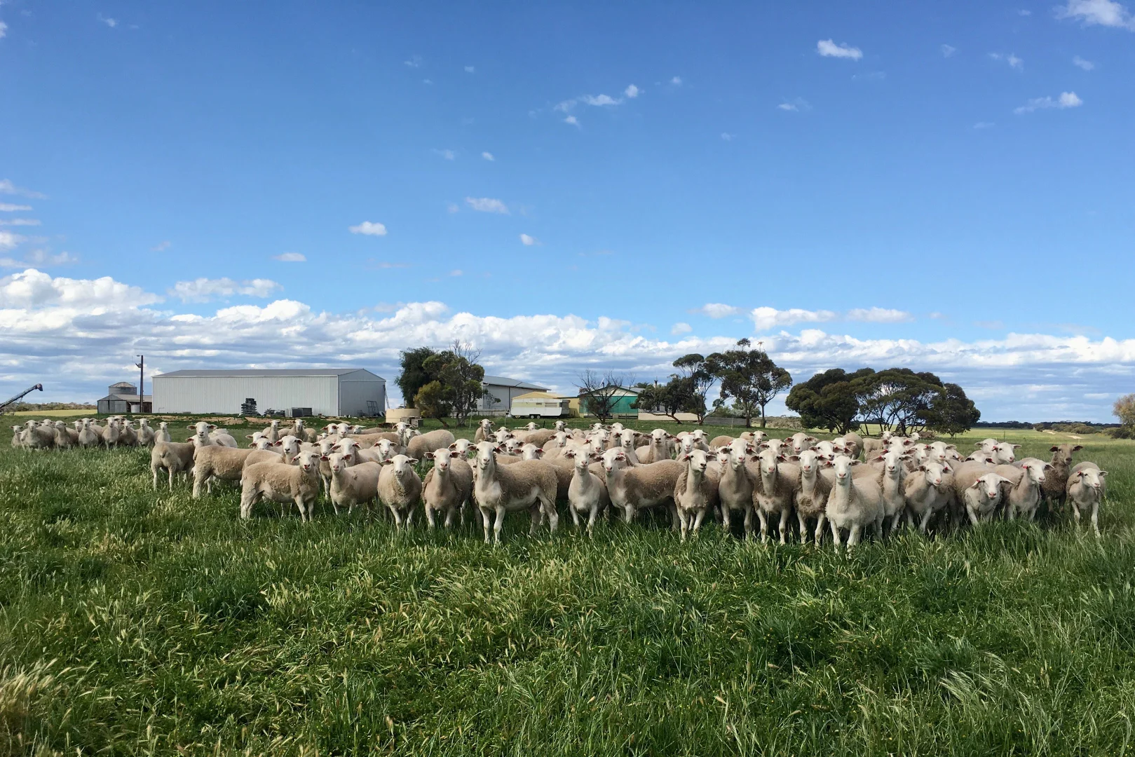 Additional image 4 of 163 McAskill Road, Karkoo SA 5632