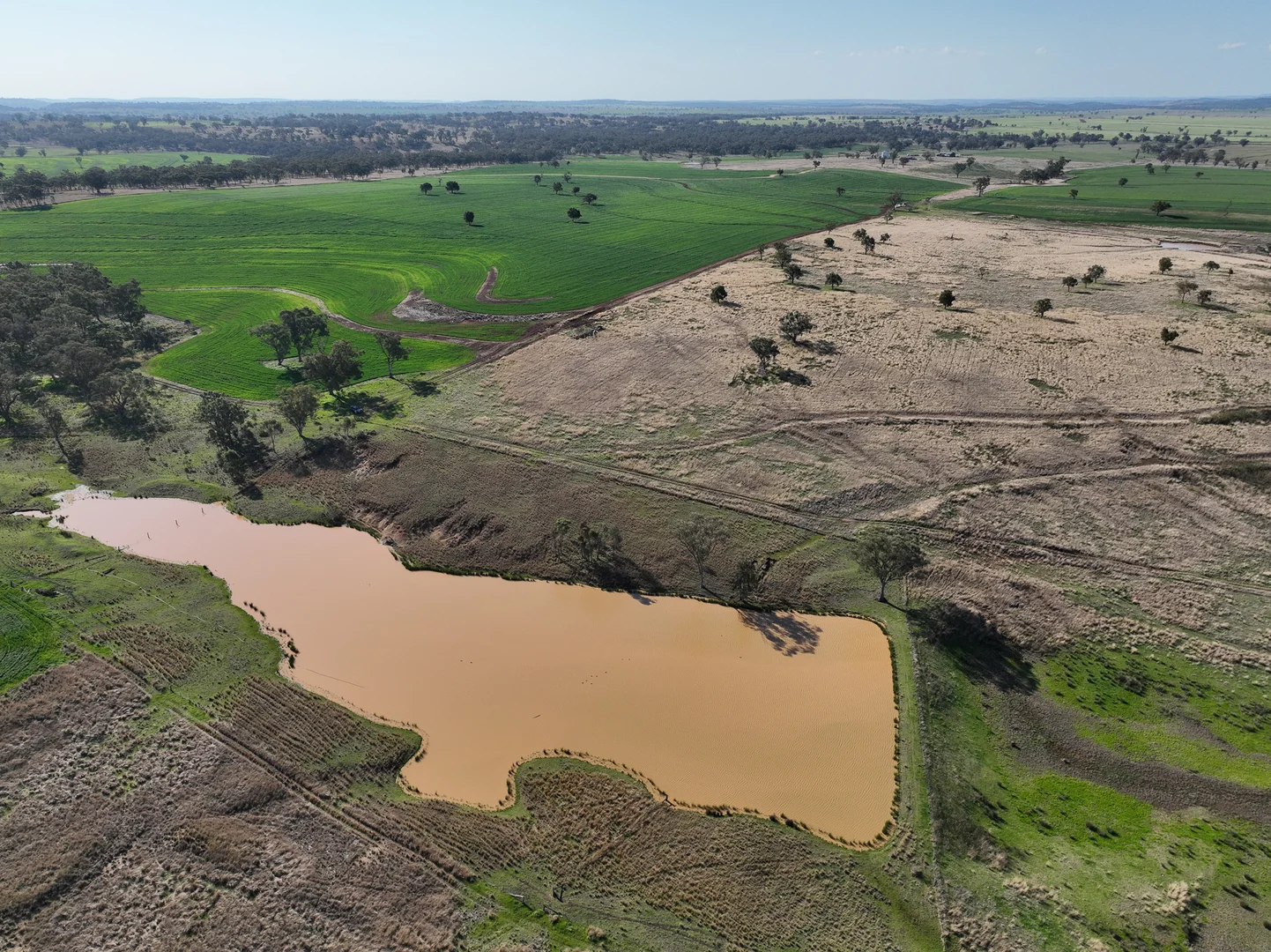 Additional image 7 of 4436 Yetman Road, Graman NSW 2360