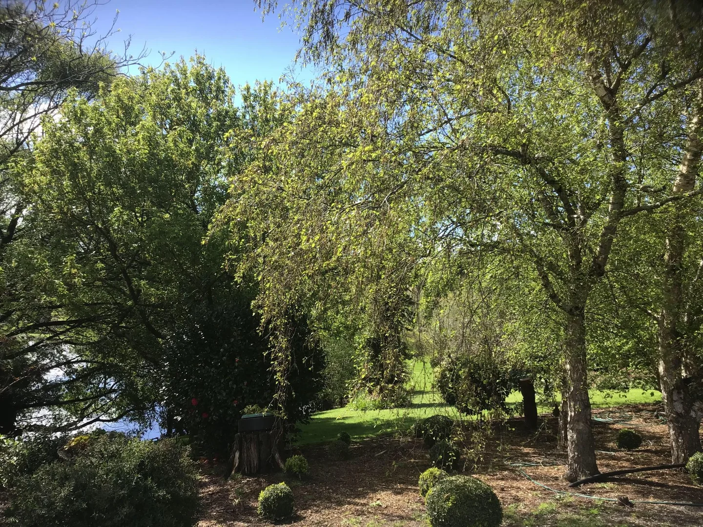 Additional image 42 of 99 King Street, Smithton TAS 7330