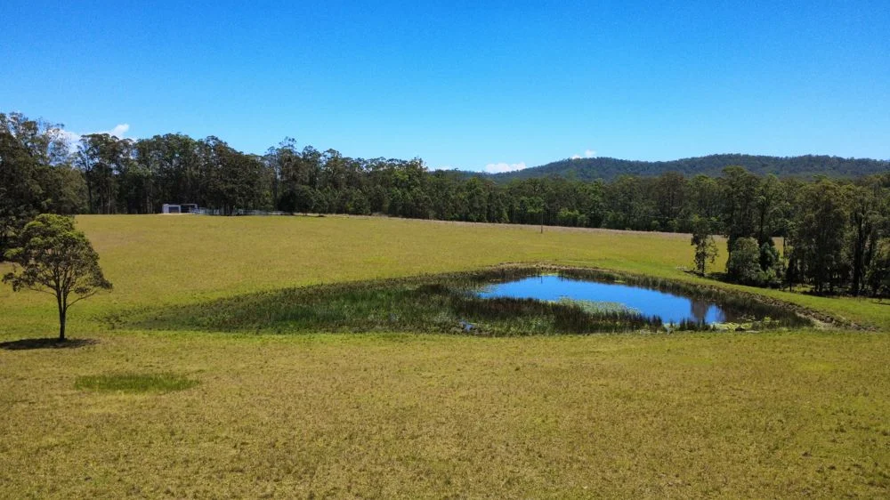 Additional image 10 of Lot 2 Upper Smiths Creek Road, Kundabung NSW 2441