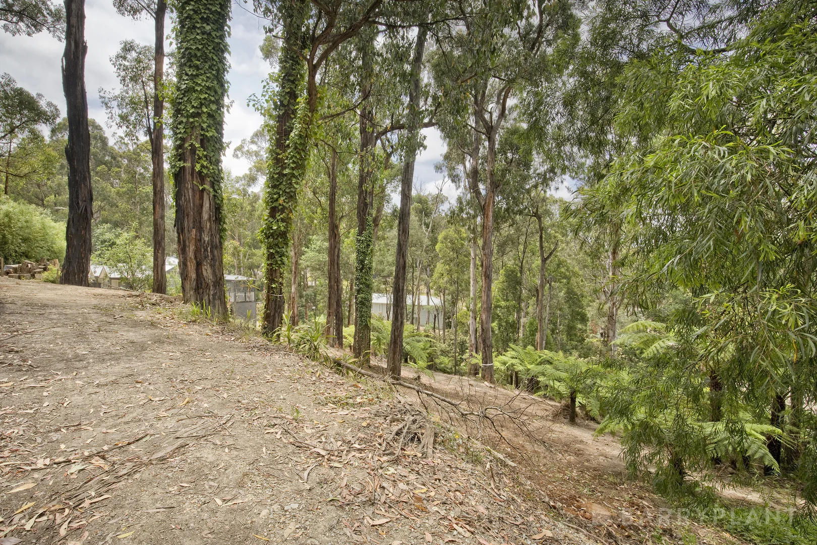 Additional image 6 of 37 Mountain Road, Cockatoo VIC 3781