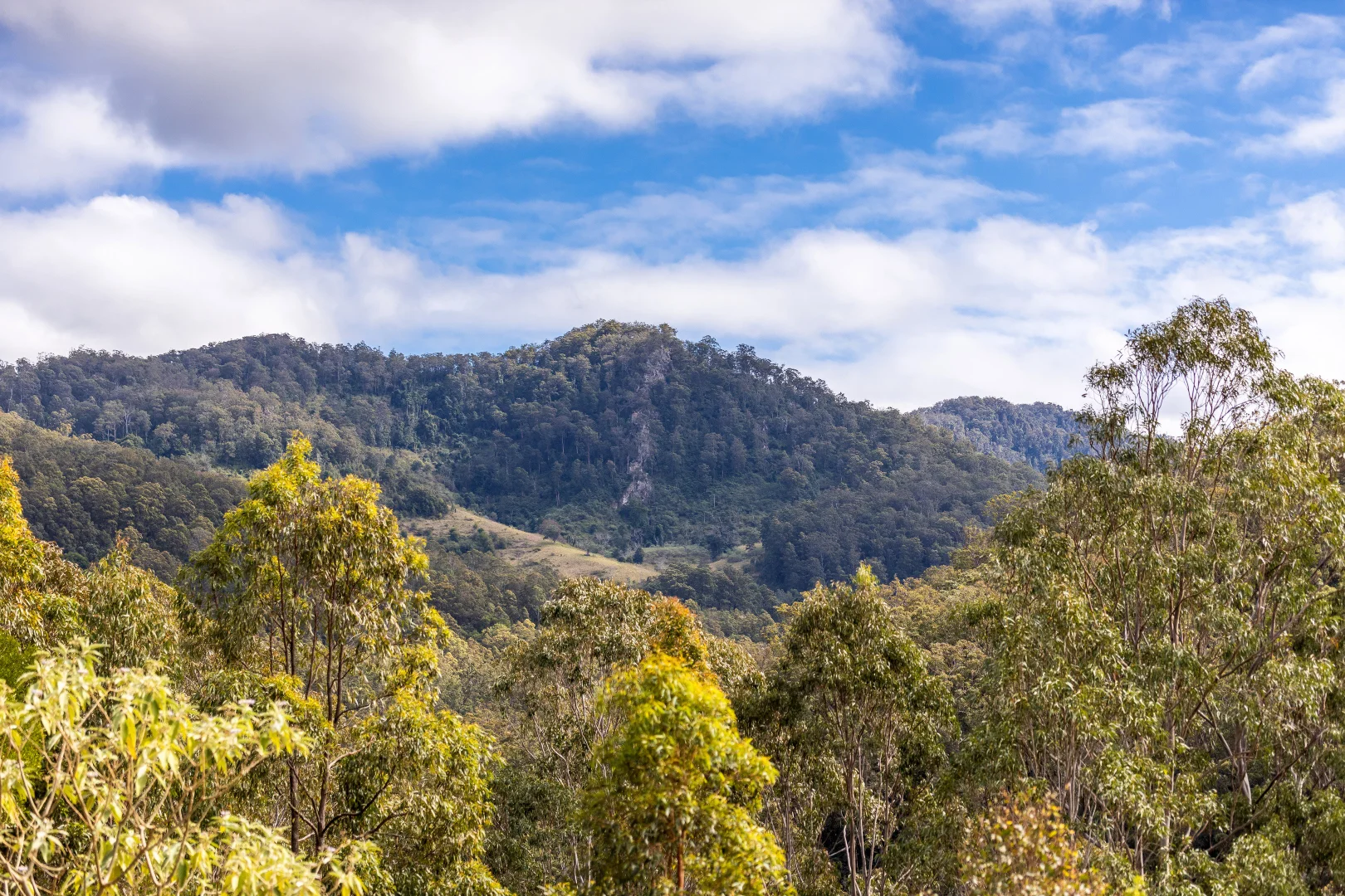 Additional image 9 of 791 Little Run Road, Wherrol Flat NSW 2429