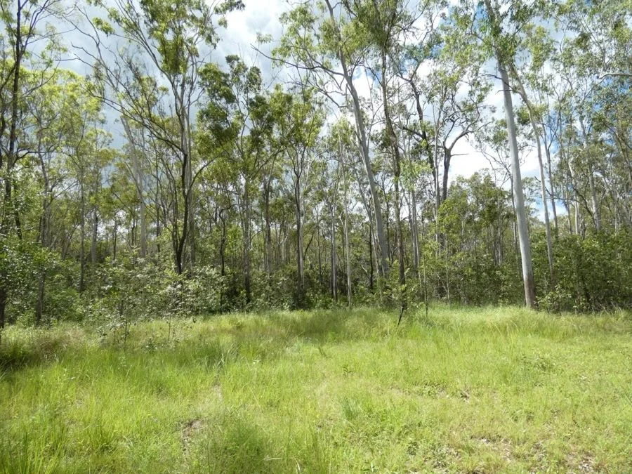 Additional image 25 of 397 Mollenhagens Road, Rosedale QLD 4674