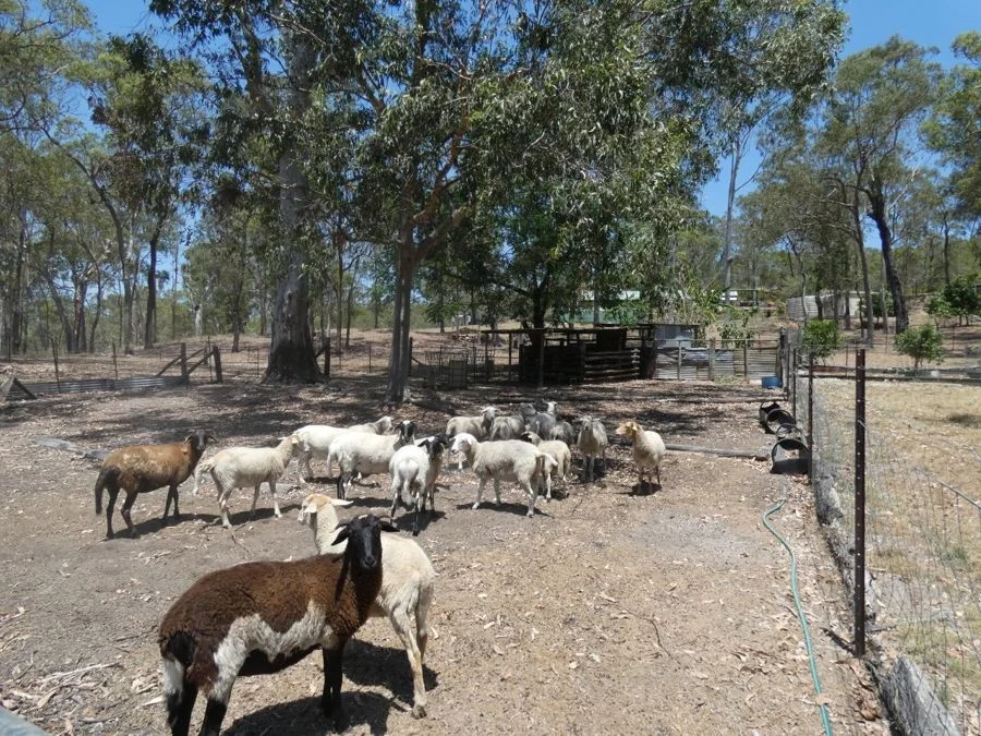 Additional image 29 of 1345 Tableland Road, Mount Maria QLD 4674