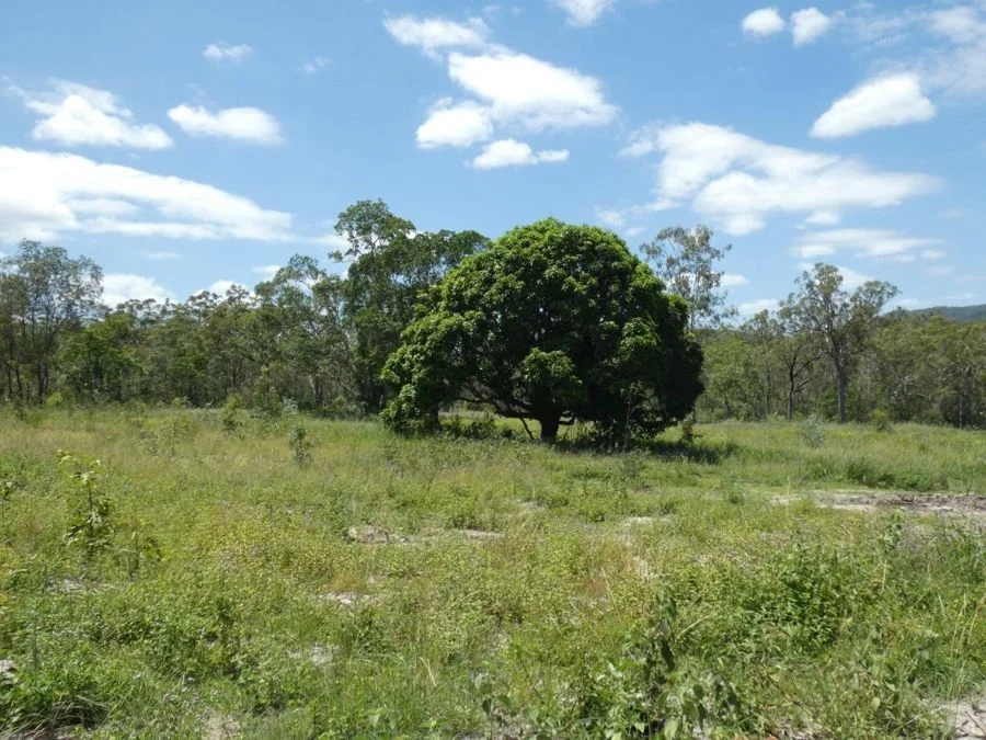 Additional image 5 of Lot 41 Moolyung Road, Waterloo QLD 4673