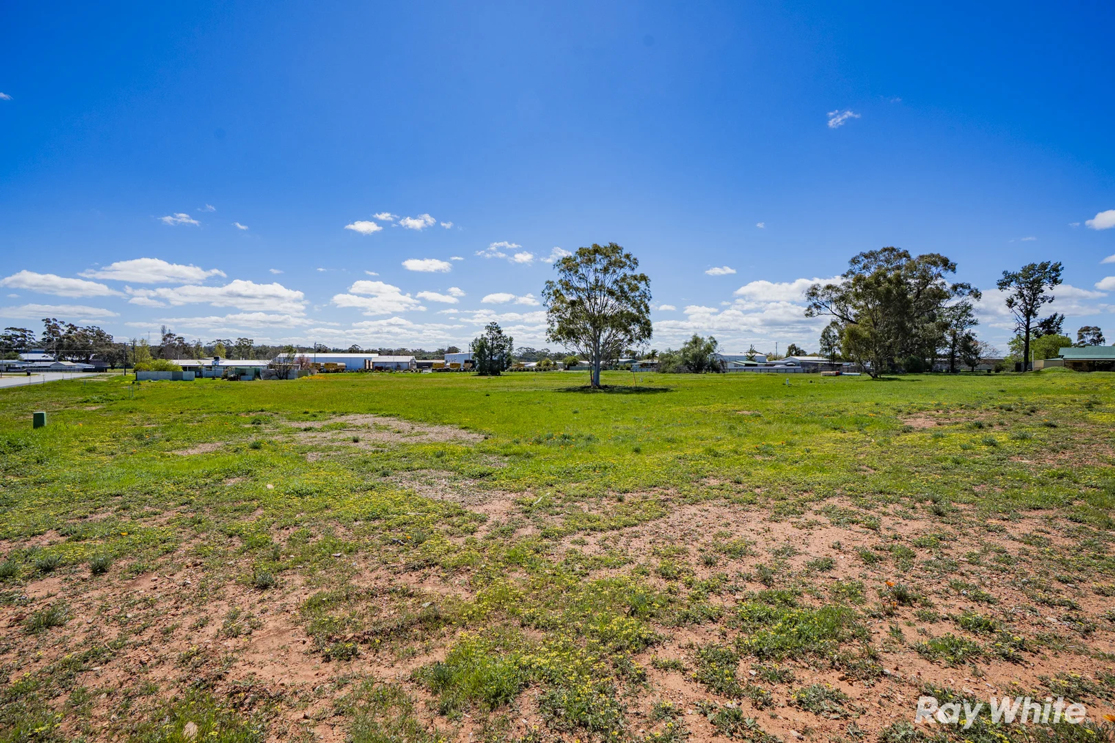 Additional image 3 of Stinson Street, Coolamon NSW 2701
