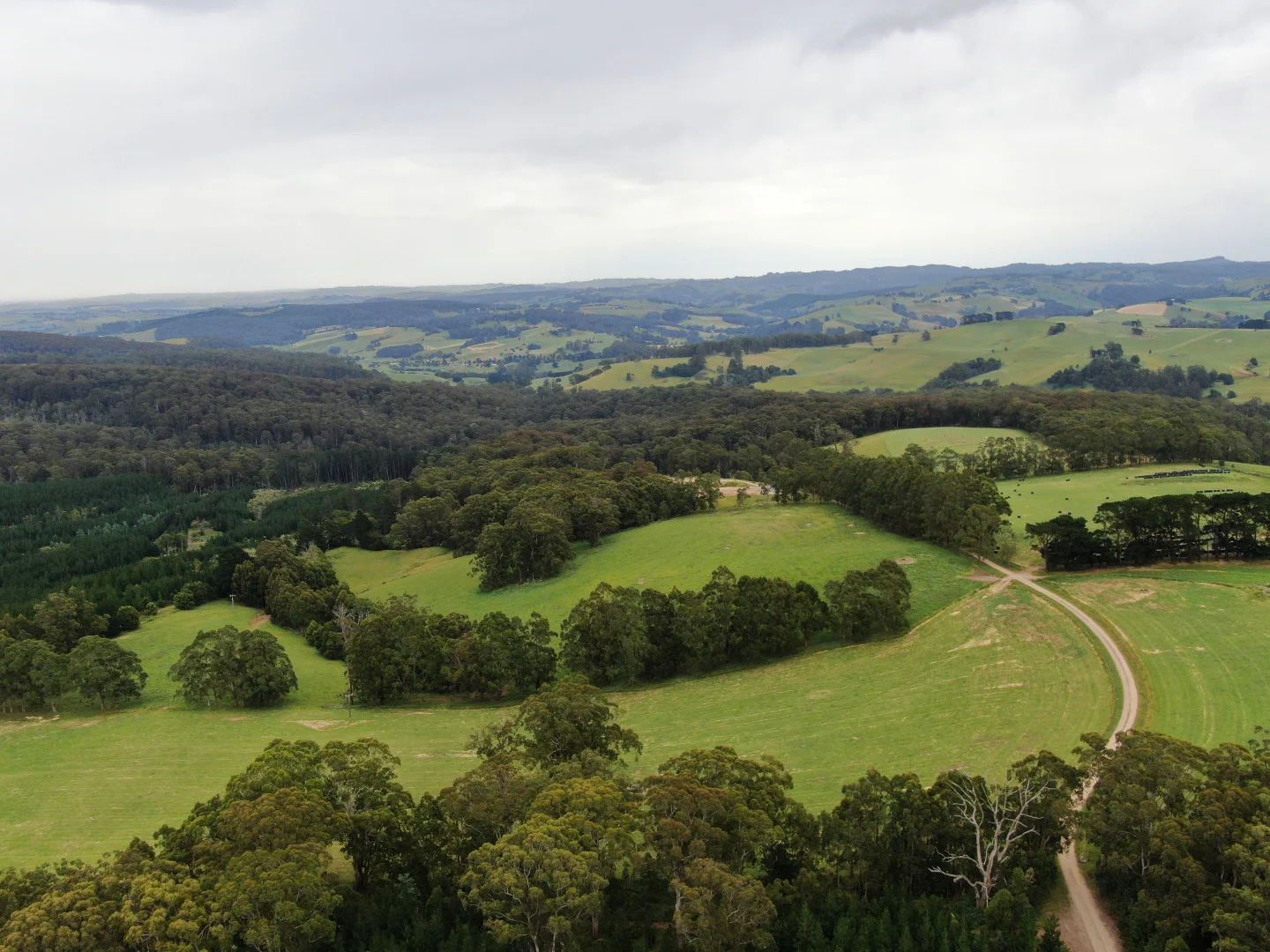 Additional image 3 of 655 Old Thorpdale Road, Mirboo North VIC 3871