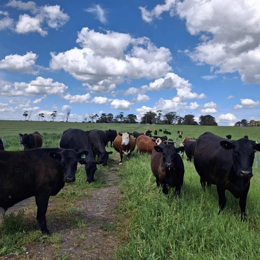 Additional image 10 of 2310 Colac-Ballarat Road, Weering VIC 3251