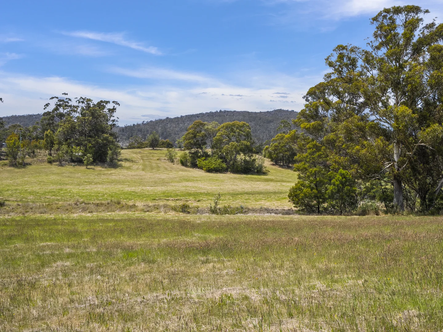 Additional image 22 of 1 Aldridge Road, Orielton TAS 7172