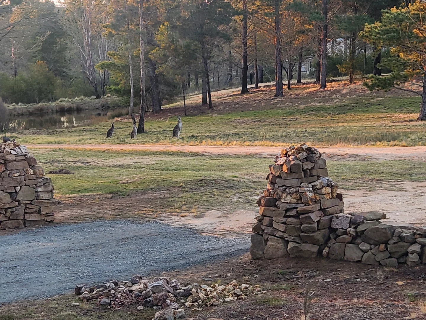 Additional image 4 of 480 Tall Timbers Road, Tomboye NSW 2622