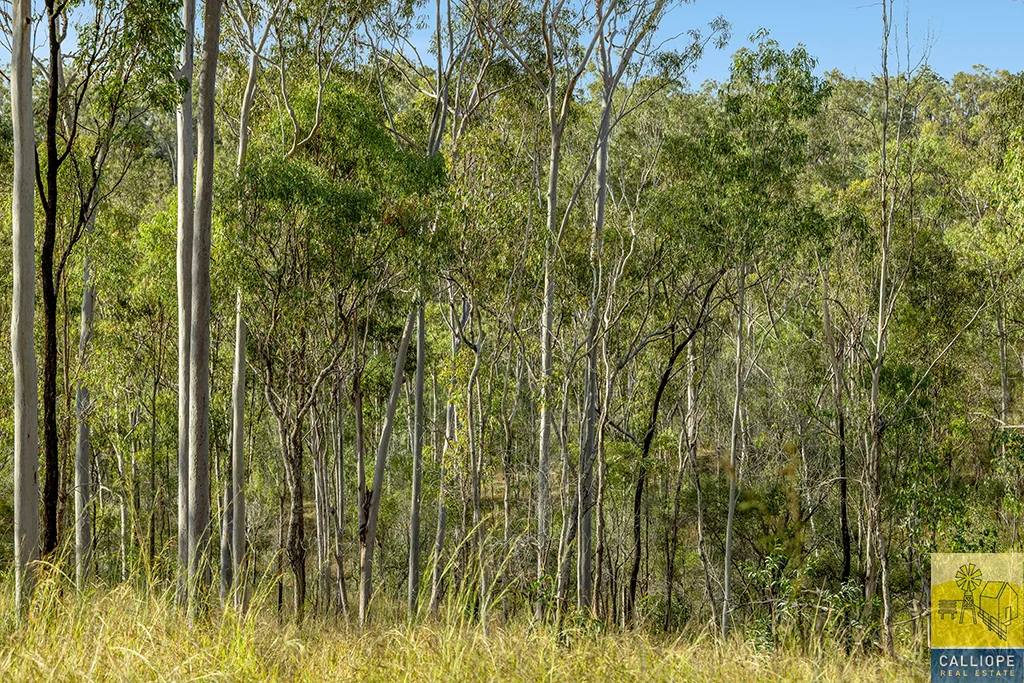 Additional image 30 of 400 Wildman Road, Iveragh QLD 4680