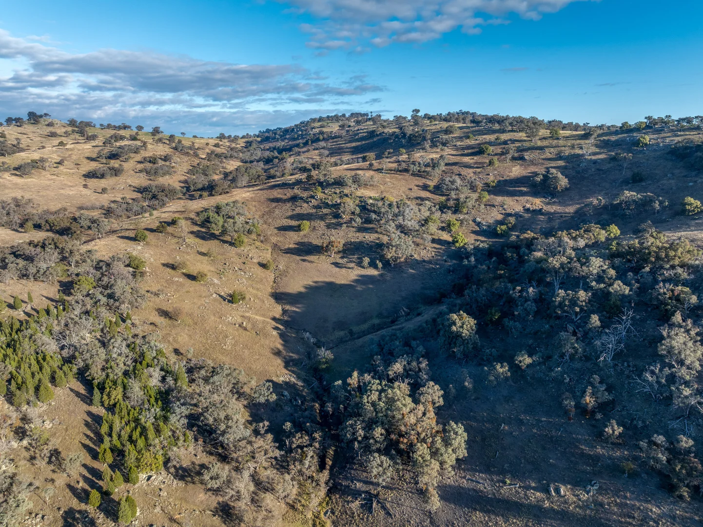 Additional image 16 of 498 (LOT A) Decca Road, Bigga NSW 2583