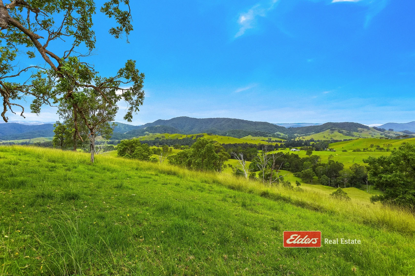 Additional image 4 of 2121 Salisbury Road, Salisbury via, Dungog NSW 2420