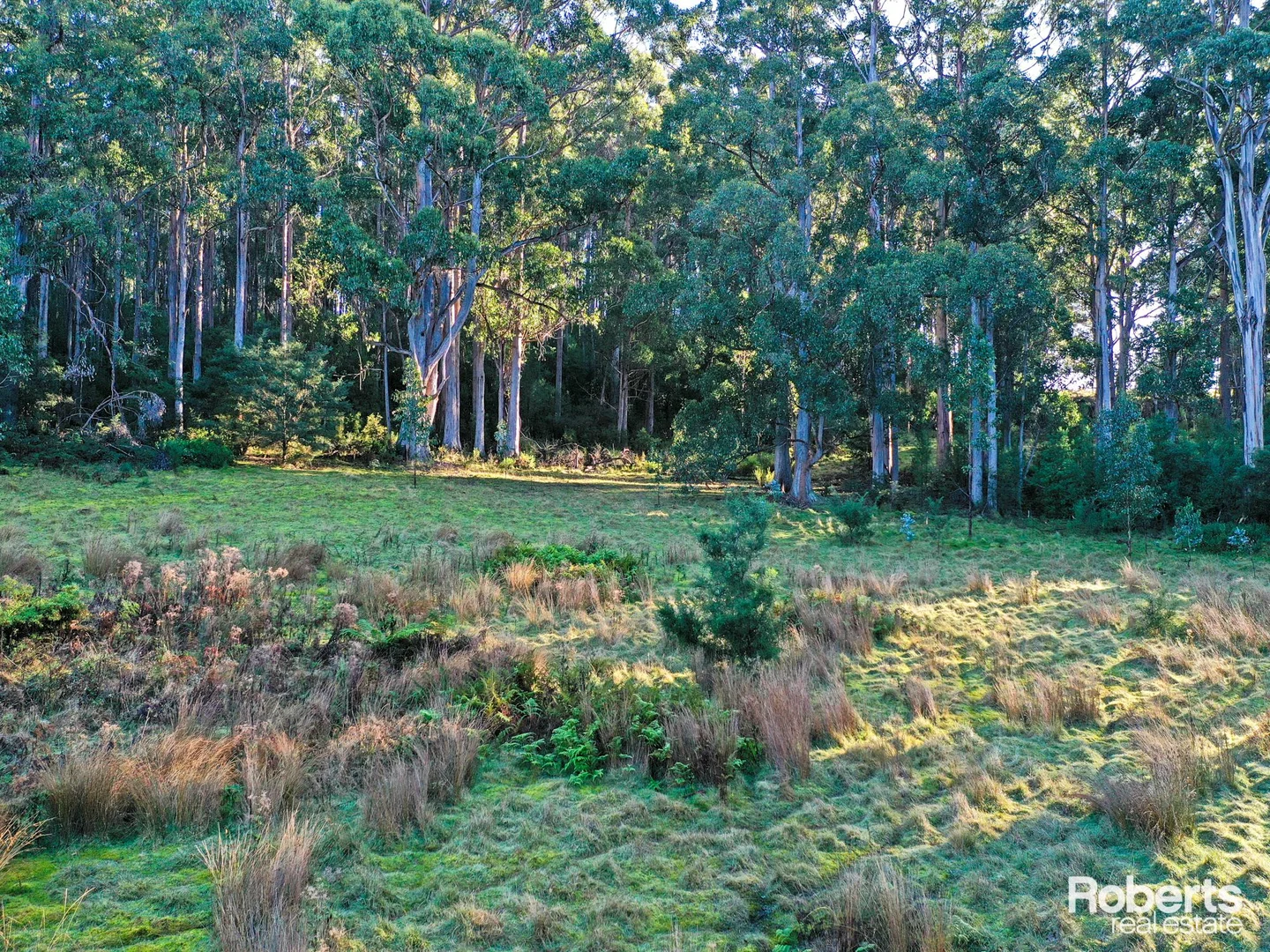 Additional image 4 of Lot 1 Lady Bay Road, Southport TAS 7109