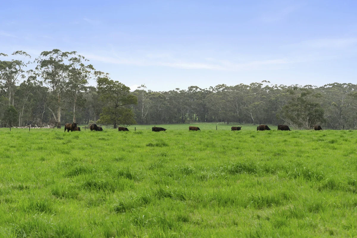 Additional image 27 of 101 Jancourt Forest Road, Carpendeit VIC 3260