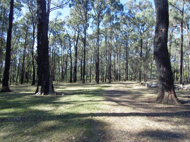 Additional image 5 of 174 Edenvale Crescent, Kinglake West VIC 3757