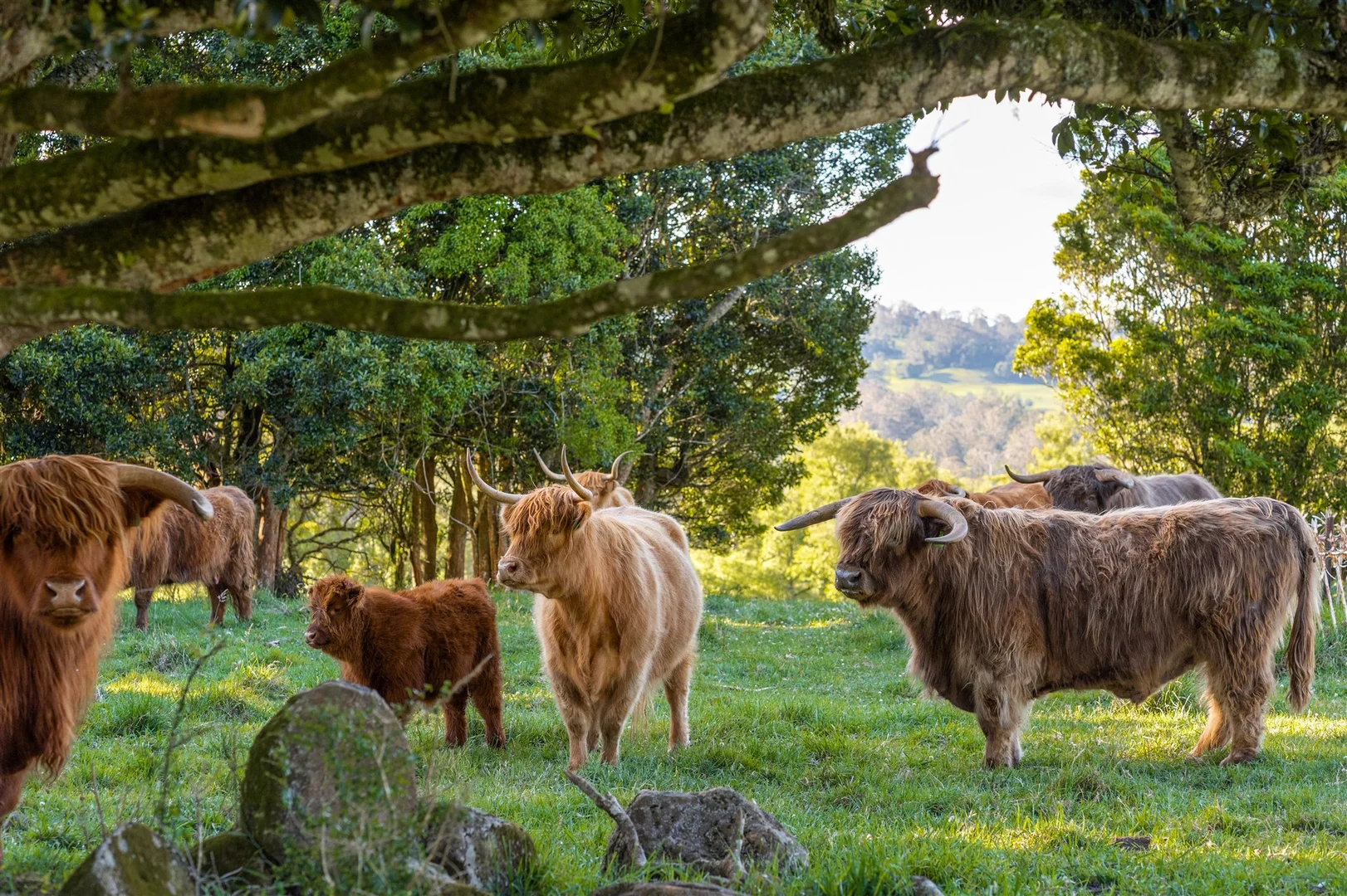 Additional image 25 of 4980 Illawarra Highway, Robertson NSW 2577