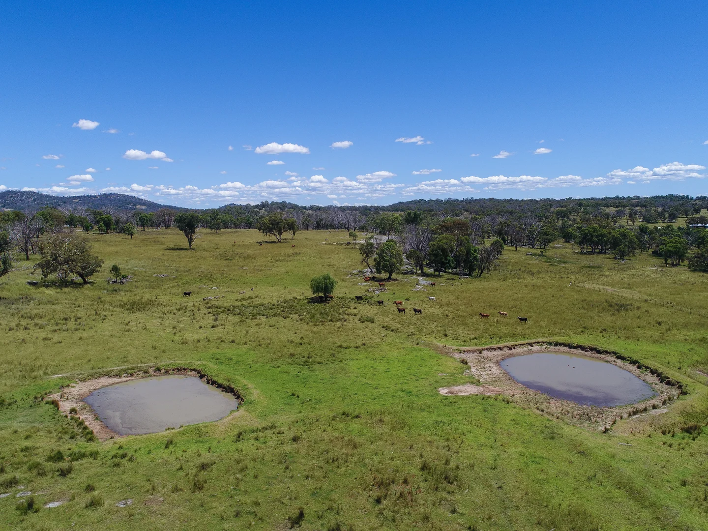 Additional image 7 of 778 Torryburn Road, Yarrowyck NSW 2358