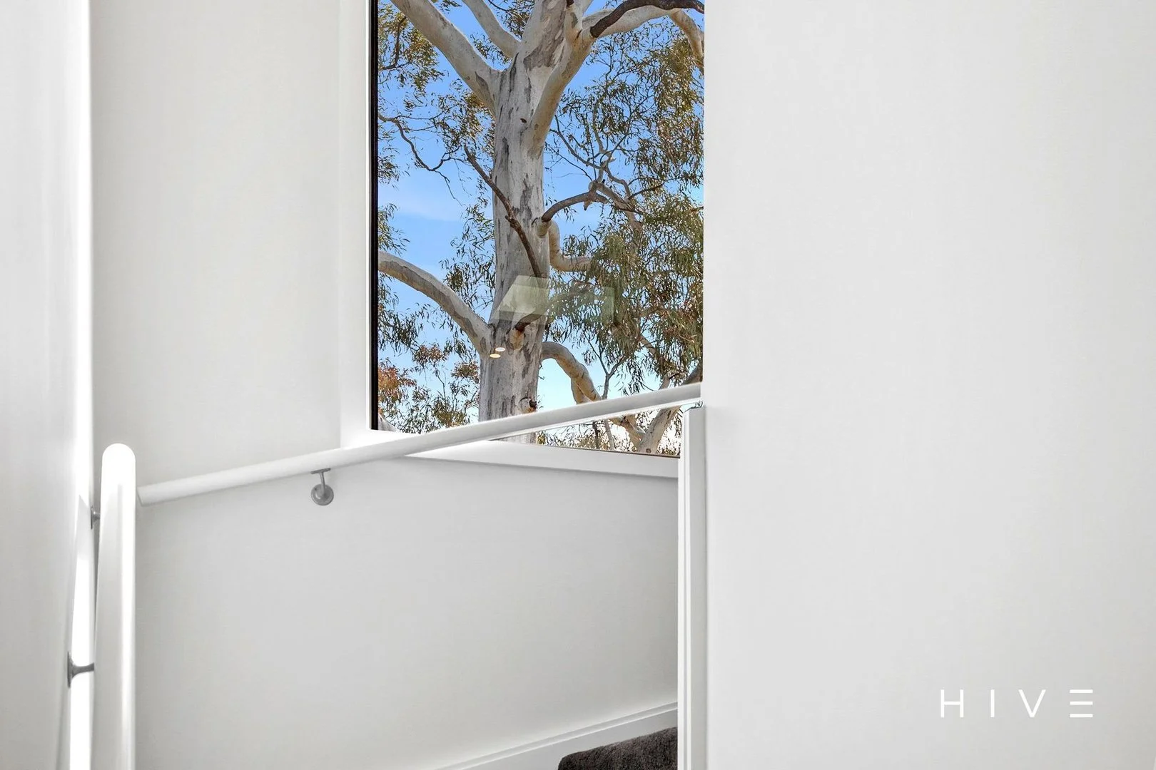 Additional image 13 of 1/22 Enderby Street, Mawson ACT 2607