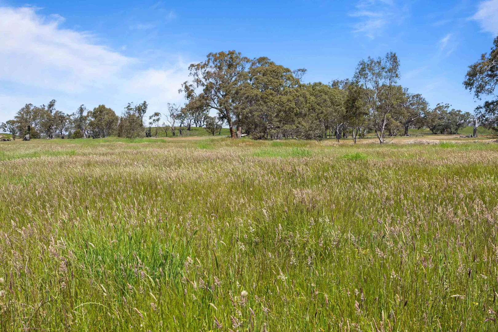 Additional image 6 of 46A & 46B Andrews Lane, Willaura North VIC 3379