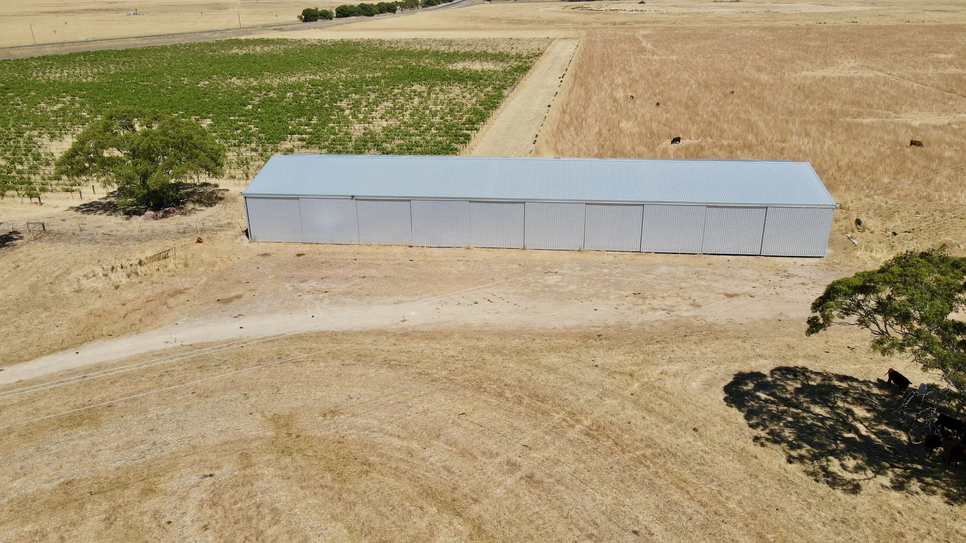 Additional image 4 of 8283 Clay Wells Rd, Penola SA 5277