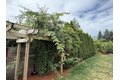 Additional image 33 of 10709 SE 11th Cir, Vancouver, WA, 98664