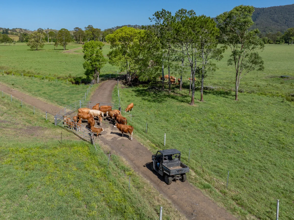 Additional image 23 of 800 Fawcetts Plain Road, Kyogle NSW 2474