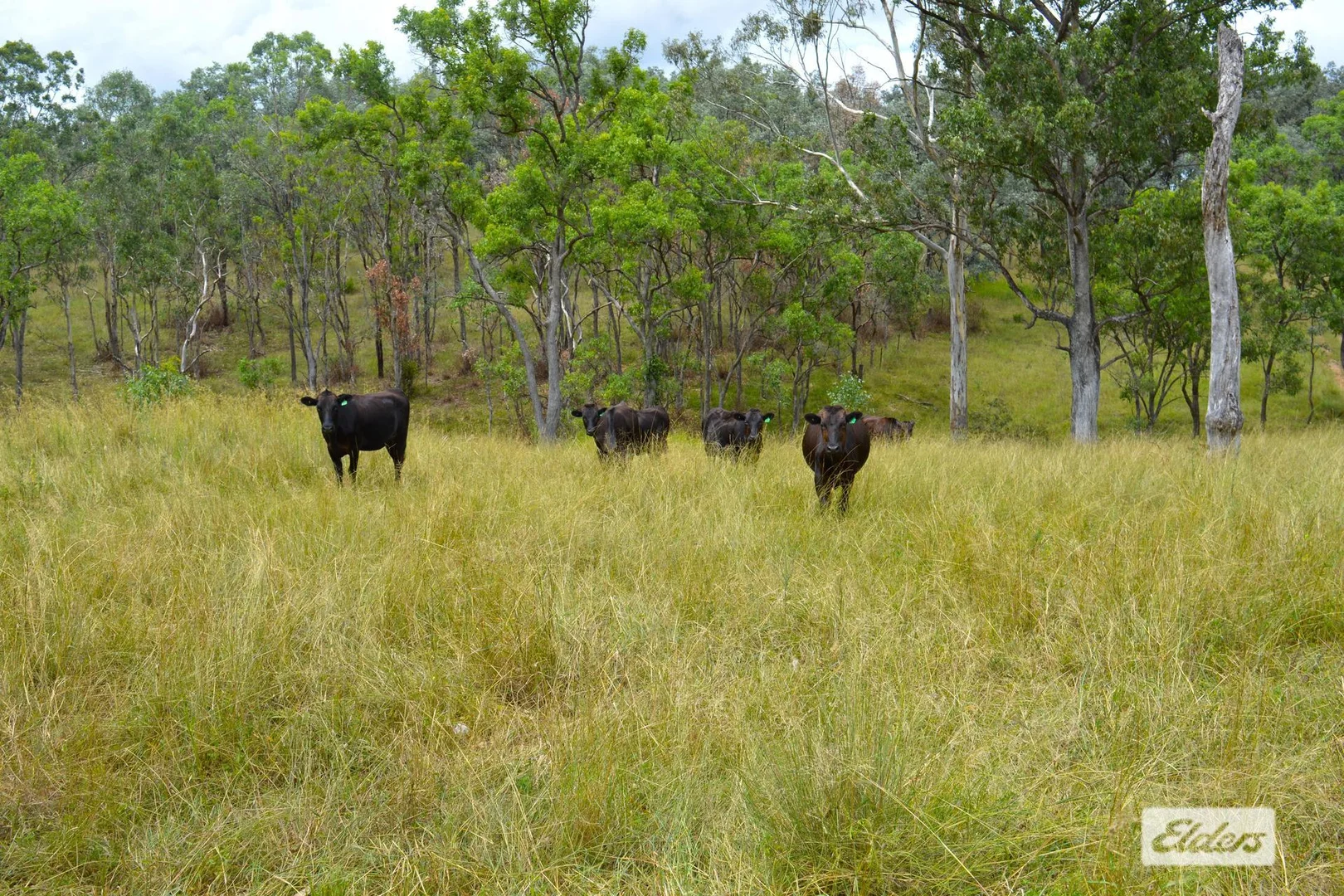 Additional image 13 of 10 Razorback Creek Road, Rivertree NSW 2372