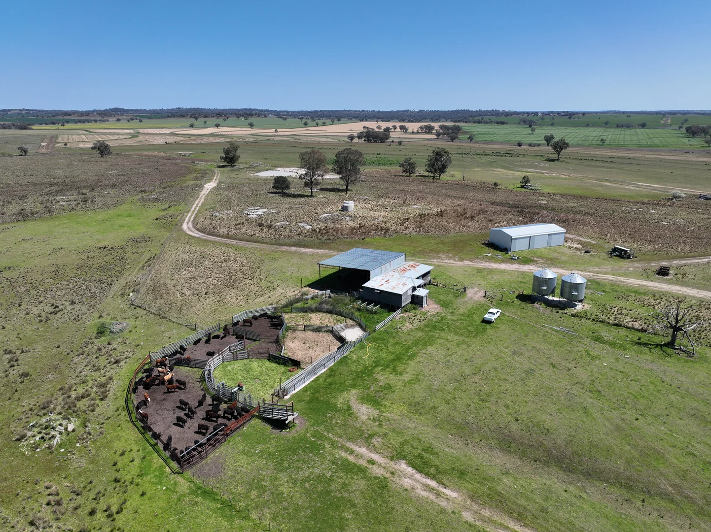 Additional image 12 of 4436 Yetman Road, Graman NSW 2360