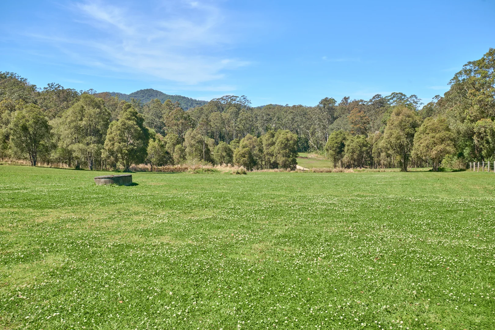 Additional image 23 of 898 Markwell Back Road, Markwell NSW 2423