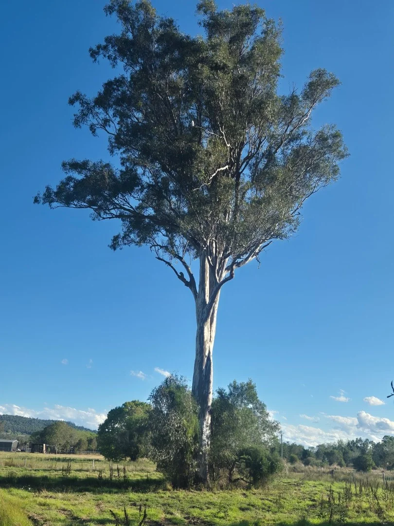 Additional image 5 of Marburg QLD 4346