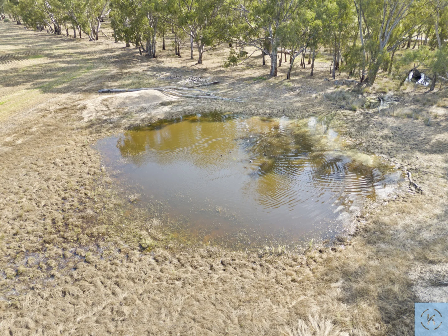 Additional image 35 of 7243 Goulburn Valley Highway, Koonoomoo VIC 3644