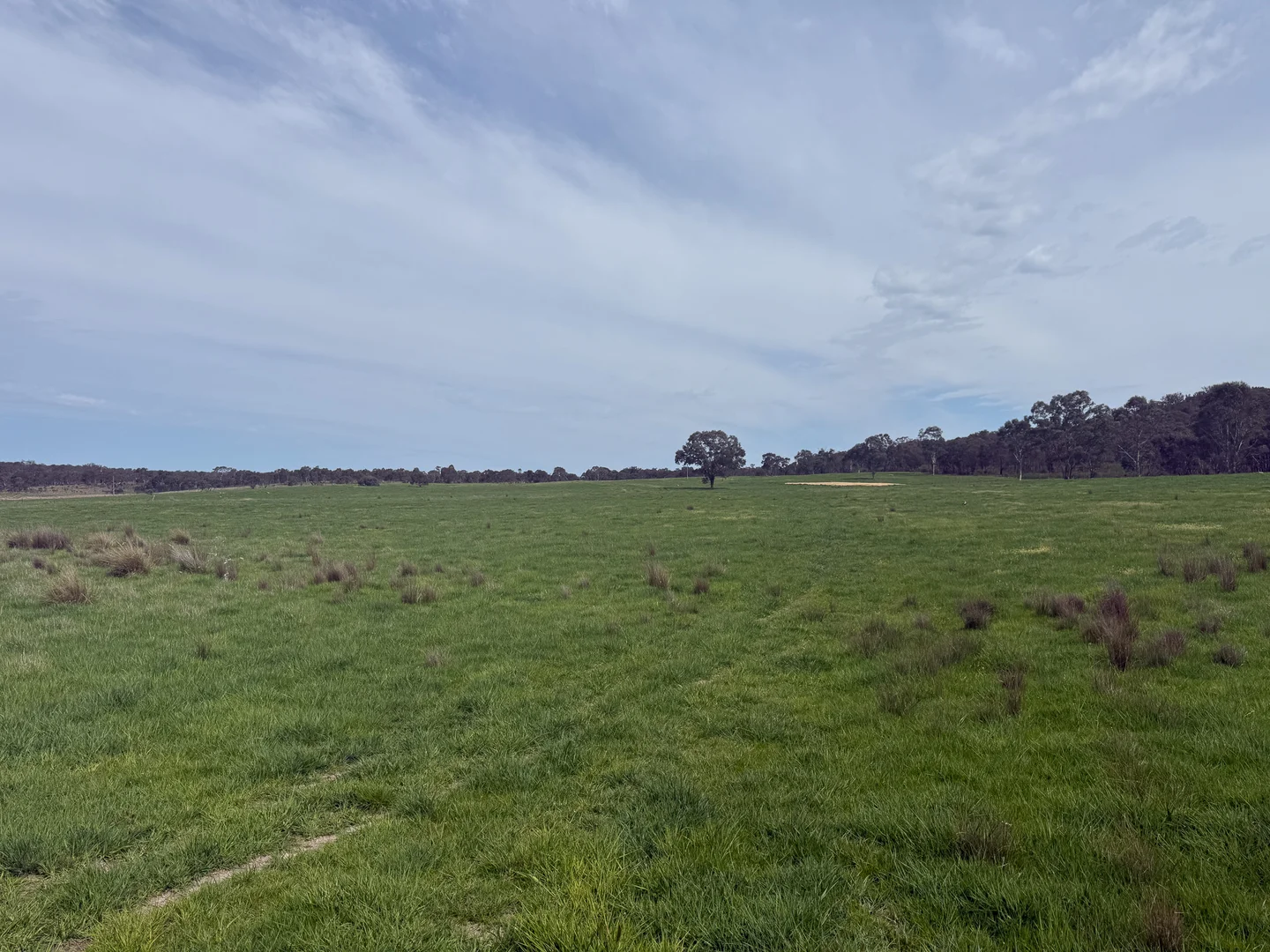 Additional image 18 of 569 & 640 Blakney Creek North Road, Blakney Creek NSW 2581