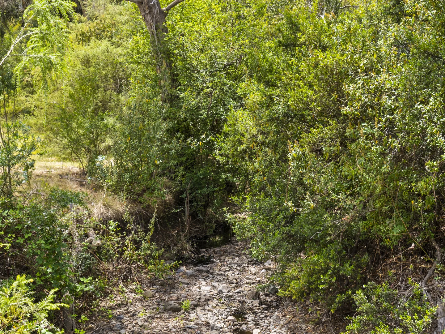 Additional image 17 of 1 Aldridge Road, Orielton TAS 7172